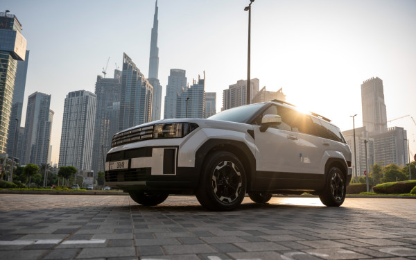 Hyundai Santa Fe (White), 2026