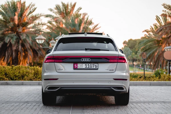 Audi Q8 (Beige), 2022
