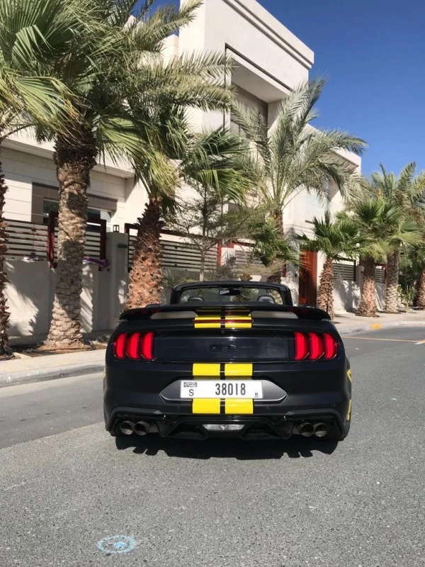 Ford Mustang V8 cabrio (Negro), 2020