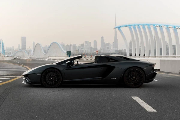 Lamborghini Aventador Roadster (Черный), 2018
