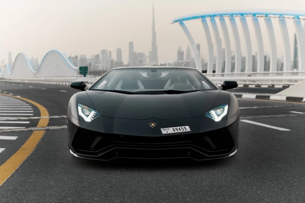 Lamborghini Aventador Roadster (Черный), 2018