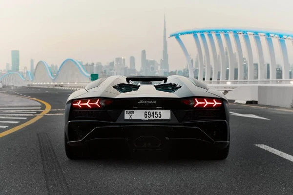 Lamborghini Aventador Roadster (Черный), 2018