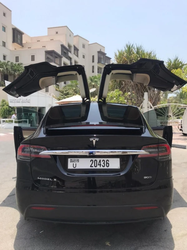 Tesla Model X (Черный), 2017