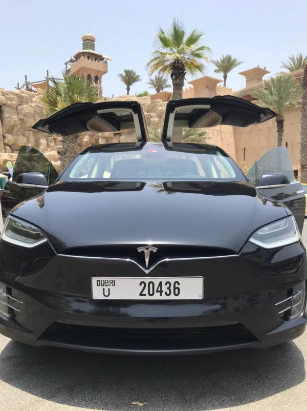 Tesla Model X (Черный), 2017