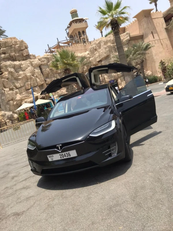 Tesla Model X (Черный), 2017