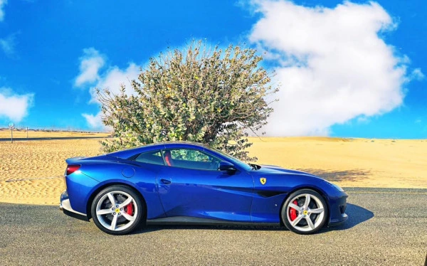 Ferrari Portofino Rosso (Azul), 2020