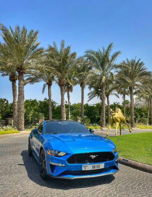 Ford Mustang GT Premium V8 (Blau), 2020
