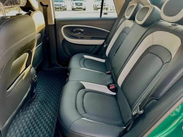 JAC E30X (Green), 2025