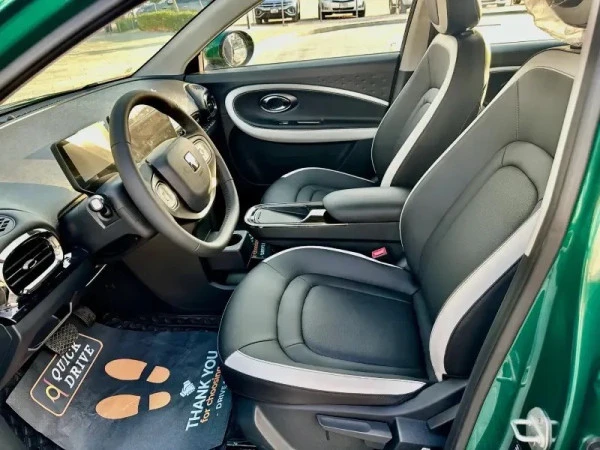 JAC E30X (Green), 2025