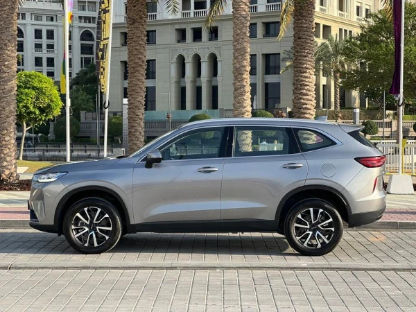 Haval H6 (Grise), 2024