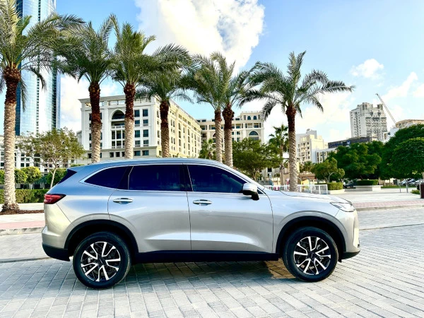 هافال H6 (اللون الرمادي), 2024