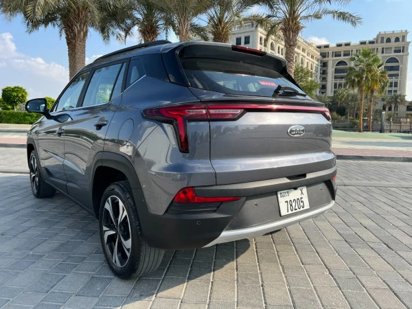 Jac S4 (Grey), 2024