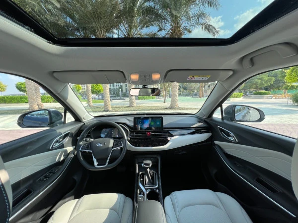 Jac S4 (Grey), 2024