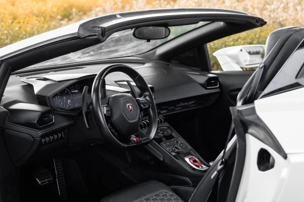 Lamborghini Evo Spyder (Grigio), 2021