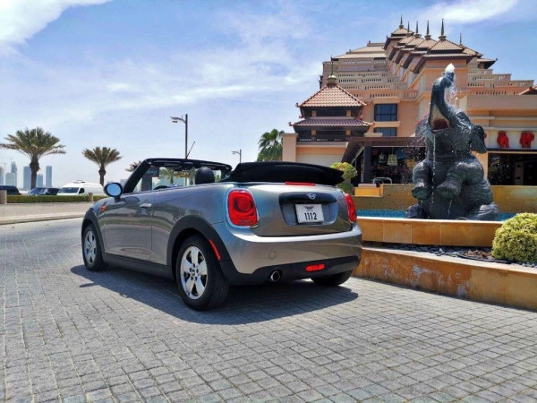Mini Cooper cabrio (Plata), 2019