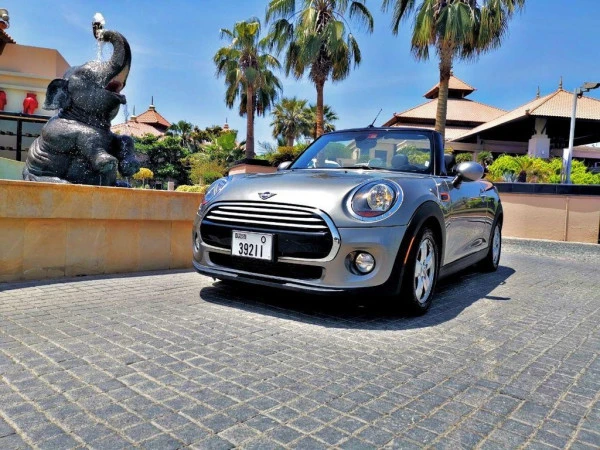 Mini Cooper cabrio (Plata), 2019