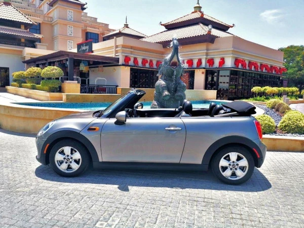 Mini Cooper cabrio (Plata), 2019