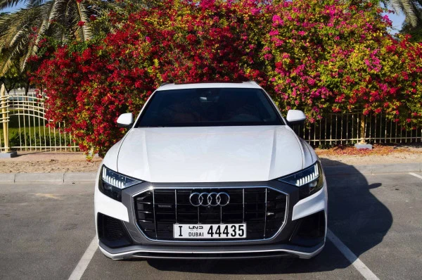 Audi Q8 (Blanco), 2019