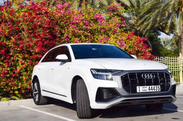 Audi Q8 (Blanco), 2019