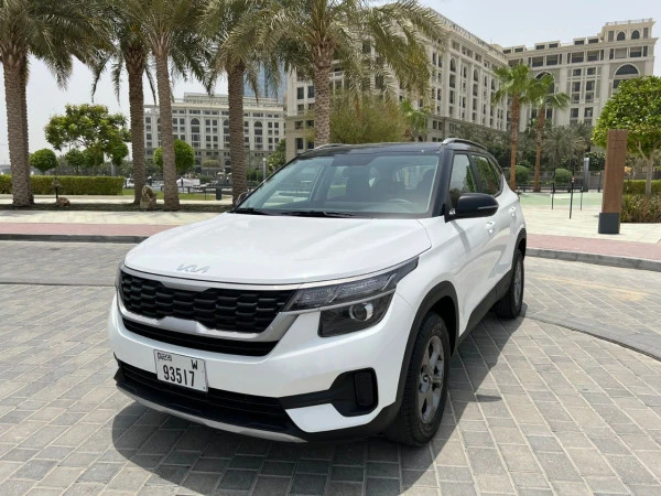 KIA Seltos (Белый), 2024