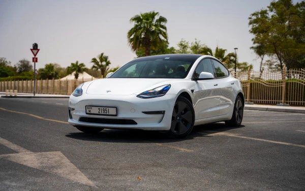 Tesla Model 3 (White), 2023