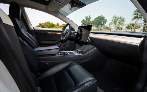 Tesla Model 3 (White), 2023