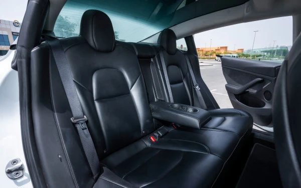 Tesla Model 3 (White), 2023