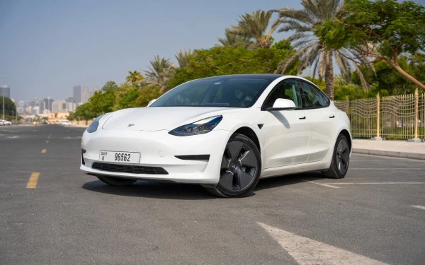 Tesla Model 3 (White), 2023