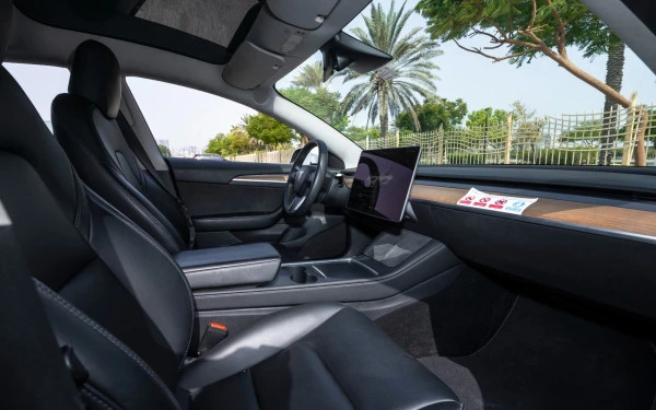 Tesla Model 3 (White), 2023