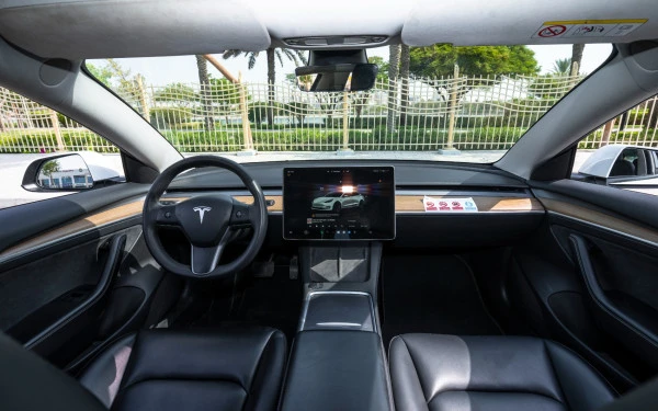 Tesla Model 3 (White), 2023