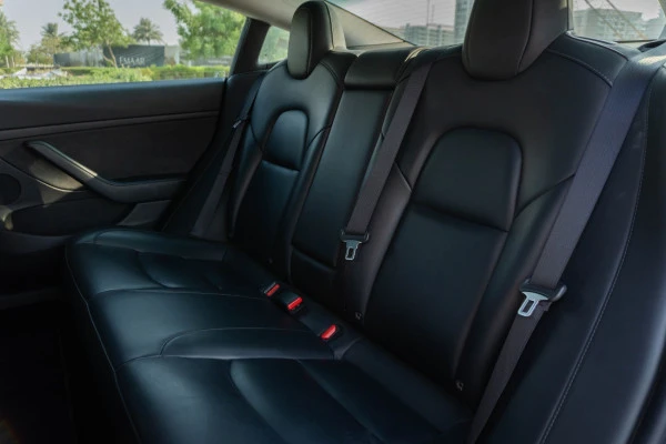 Tesla Model 3 (White), 2023