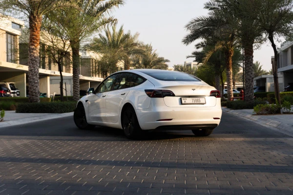 Tesla Model 3 (White), 2023