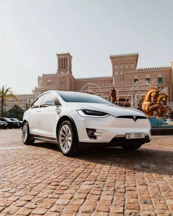 Tesla Model X (Белый), 2021