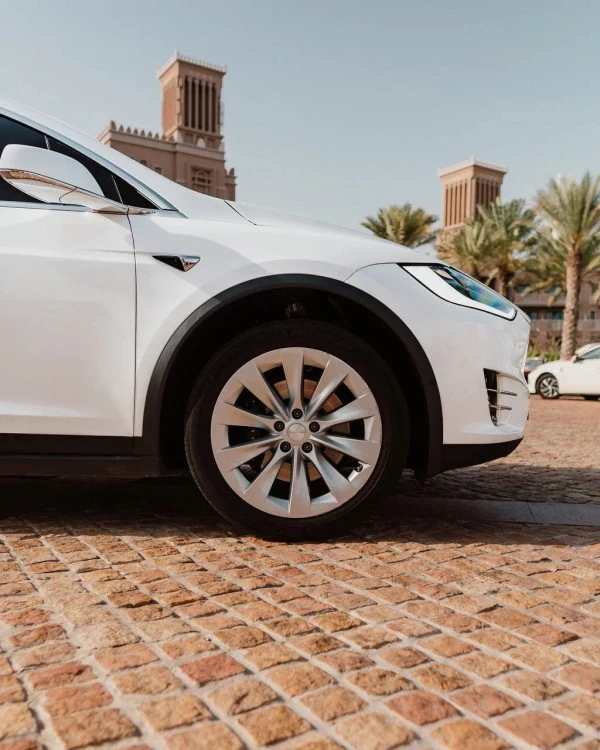 Tesla Model X (Белый), 2021