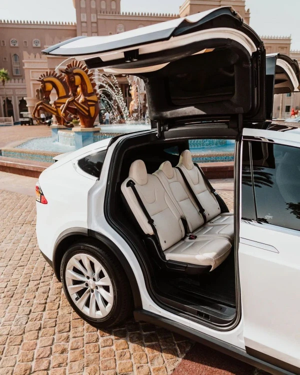 Tesla Model X (Белый), 2021