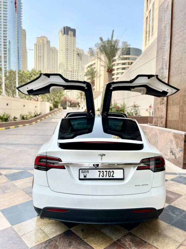 Tesla Model X (Белый), 2021