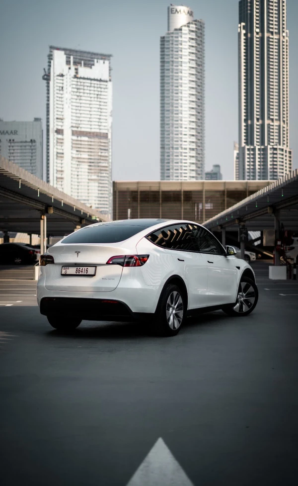 Tesla Model Y Long Range (White), 2022