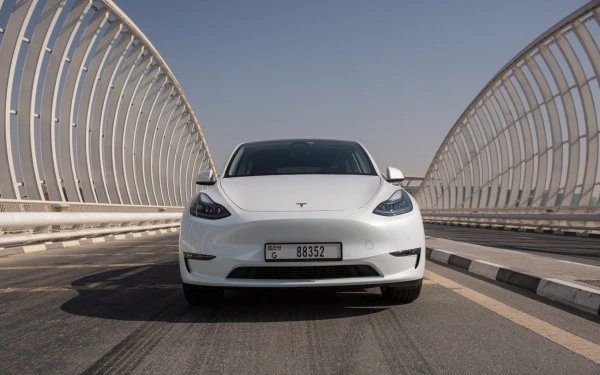 Tesla Model Y Long Range (White), 2022