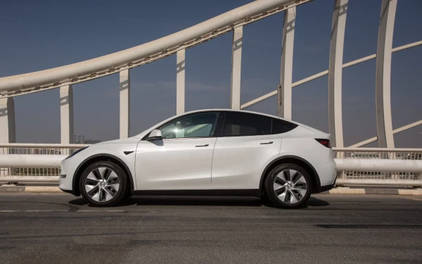 Tesla Model Y Long Range (White), 2022