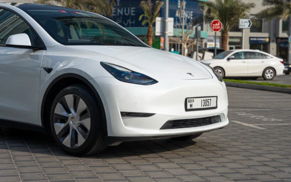 Tesla Model Y Long Range (White), 2022