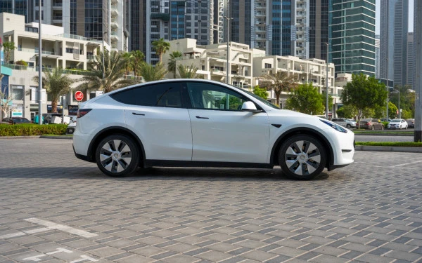 Tesla Model Y Long Range (White), 2022