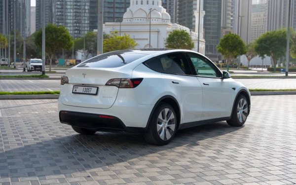 Tesla Model Y Long Range (White), 2022