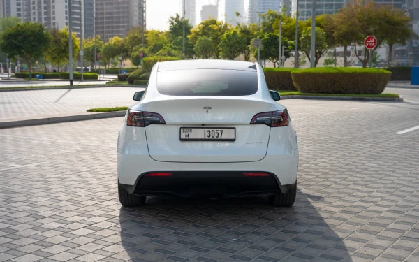 Tesla Model Y Long Range (White), 2022