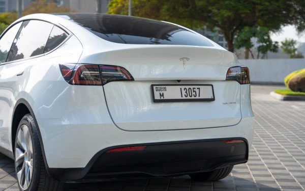 Tesla Model Y Long Range (White), 2022
