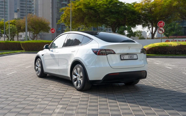 Tesla Model Y Long Range (White), 2022
