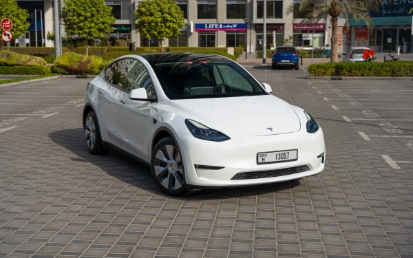 Tesla Model Y Long Range (White), 2022