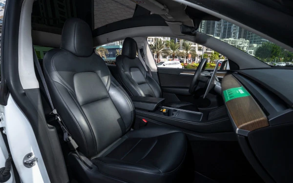 Tesla Model Y Long Range (White), 2022