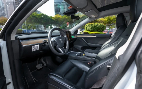 Tesla Model Y Long Range (White), 2022
