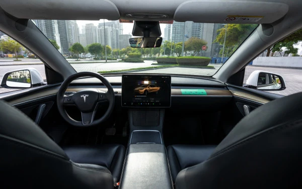 Tesla Model Y Long Range (White), 2022