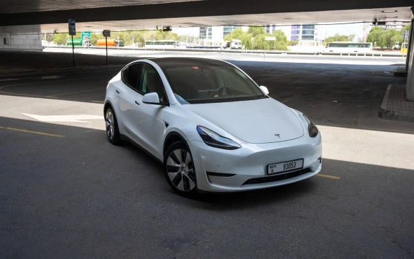 Tesla Model Y Long Range (White), 2022